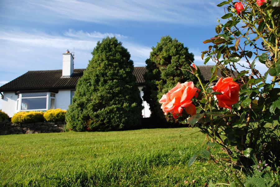 Castle View B&B Freshford Buitenkant foto
